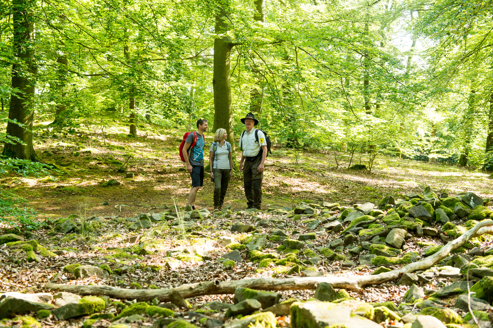 Alte Buchenwälder und Buchenurwälder der Karpaten und anderer Regionen
