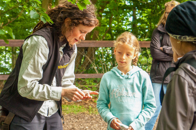 Alte Buchenwälder und Buchenurwälder der Karpaten und anderer Regionen